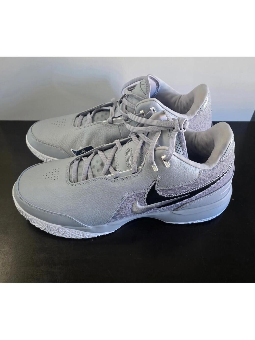 Nike Zoom LeBron NXXT Gen Size 17